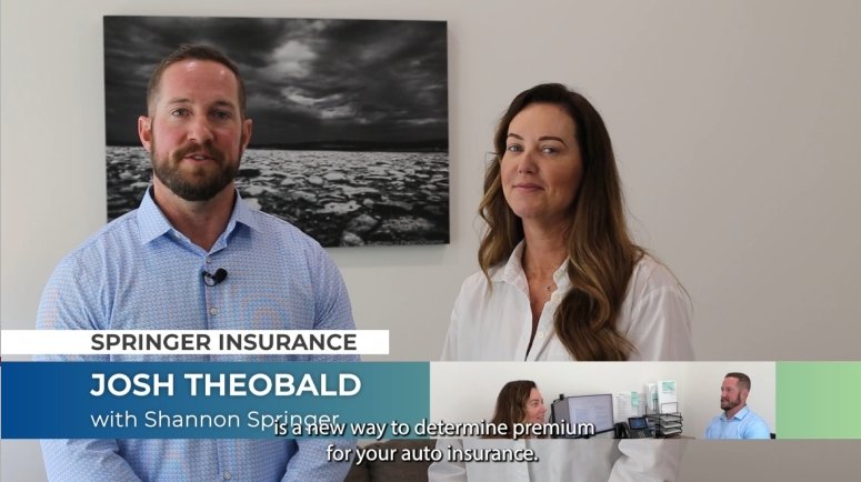 Screen Grab from  Telematics 