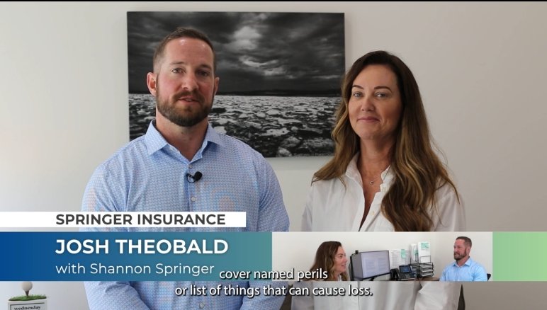 Screen Grab from  Named Perils 